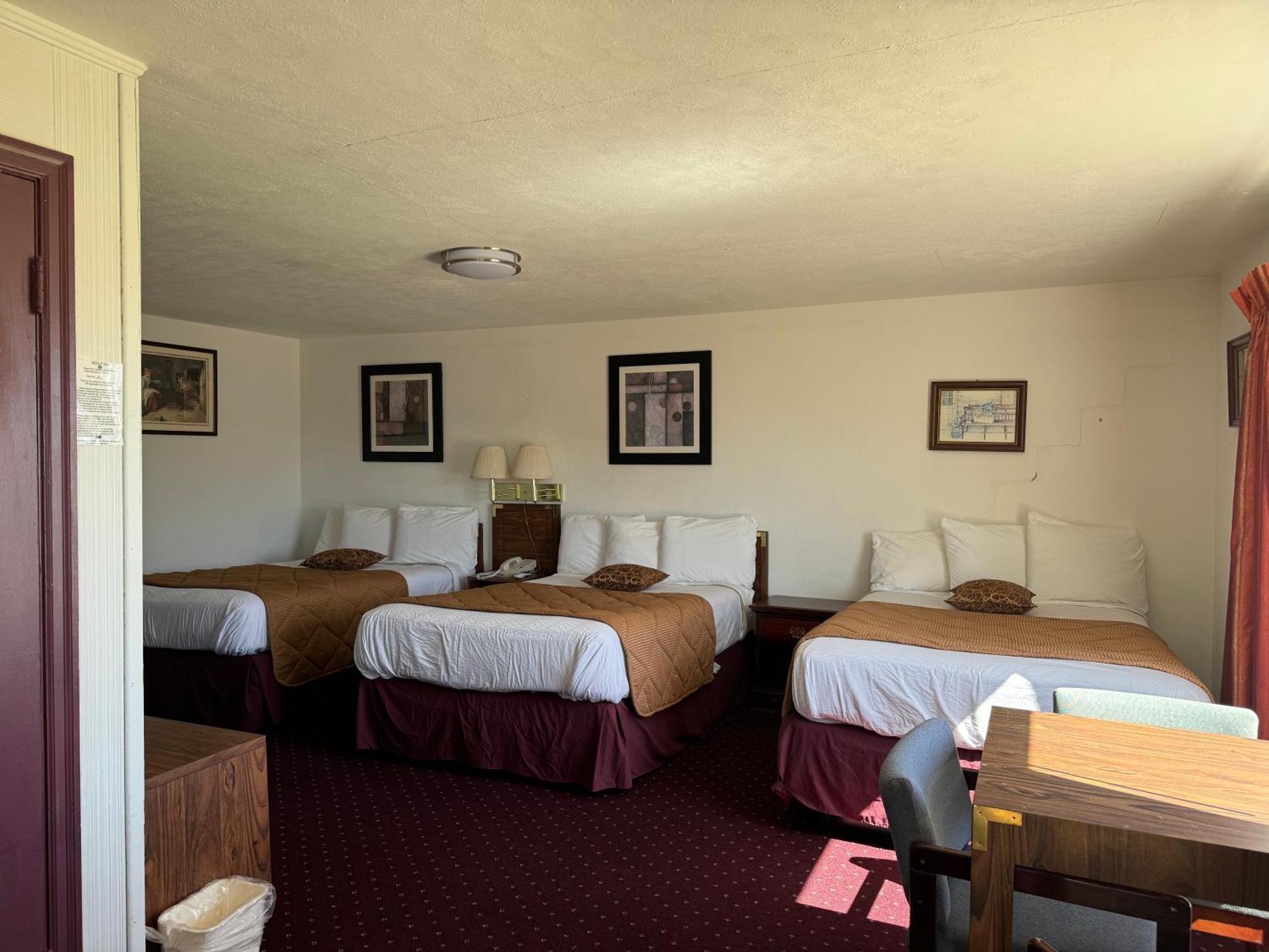 Royal Inn Albany Extérieur photo